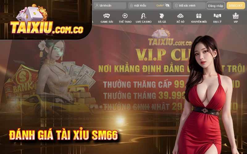 Tài Xỉu SM66 - Đánh Giá Sức Hút và Cơ Hội Thắng Lớn