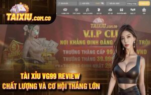 Tài Xỉu VG99 Review Chất Lượng và Cơ Hội Thắng Lớn