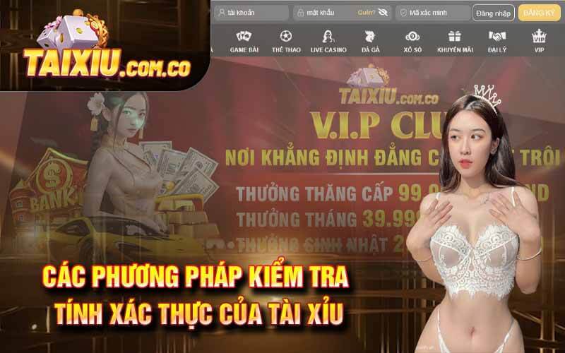 Tài Xỉu Bịp - Chinh Phục Sòng Bạc với Chiến Thuật Tài Xỉu Bịp