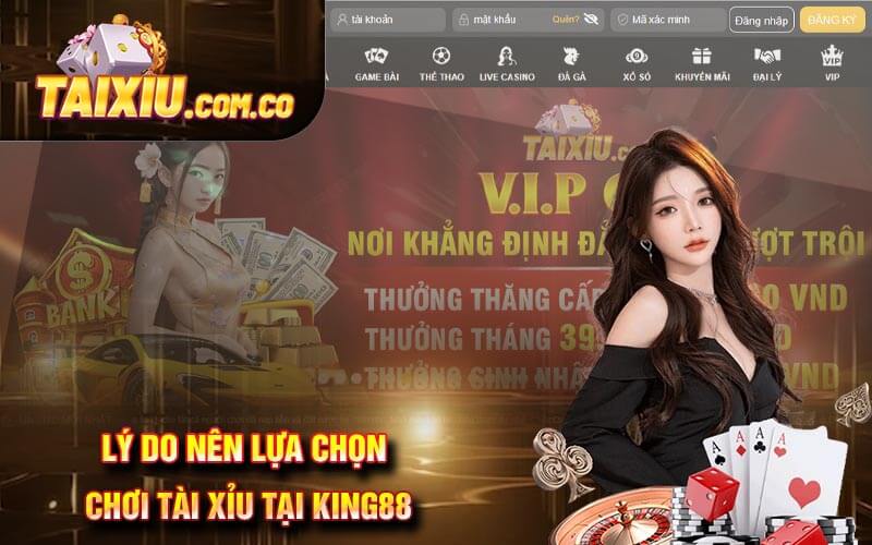 Lý do nên lựa chọn chơi tài xỉu tại King88